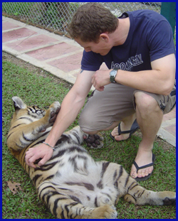 Playing the Tiger at Tiger Kingdom