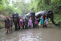 Elephant Discovery Chiang Mai (Bareback riding)