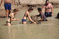 Enjoy bathing with elephants and playing in the sand.