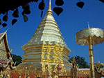 Morning Alms Giving and Visit Doi Suthep Temple - Seeing The North - Chiang Mai Cultural Tour