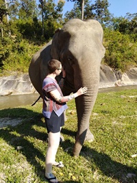 One Day Elephant Sanctuary and Doi Innthanon National Park 