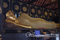 Visit Wat Chedi Luang