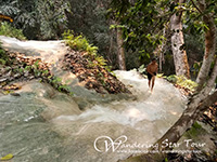 Bua Tong waterfall ( The limestone waterfall)  a waterfall in Chiang Mai that you can walk up and walk down inside the waterfall without slipping. 