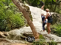 Bua Tong waterfall ( The limestone waterfall)  a waterfall in Chiang Mai that you can walk up and walk down inside the waterfall without slipping. 