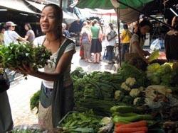 An introduction to Thai ingredients and visit local market tour.