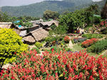 Hmong Village