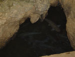 Fish caves