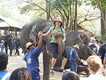 Elephant Safari Tour 