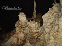  Take a bamboo raft through Lord Caves with the beauty of the nature and see stalagmite and stalactite