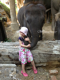Mae Sa Elephant camp and see Elephant bathing and elephant Show
