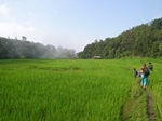 Trekking at Baan  Mae Klang Luang village you might find it interesting to follow the path to Pha Dok Seaw Waterfalls.