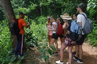 One day Trekking only walk at Doi Innthanon National Park ( walking only and no elephants or elephant riding)