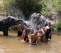 Bathing with elephant