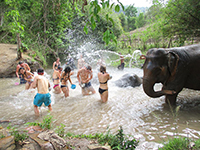 Playing and Bathing with Elephant