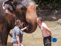 Lead elephant to the river and bath with elephant and take photos with elephant 
