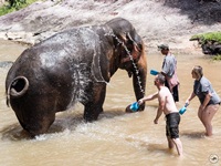 Lead elephant to the river and bath with elephant and take photos with elephant 