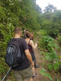 Hike through the jungle and pass rice fields  with scenic views (Depend on season)