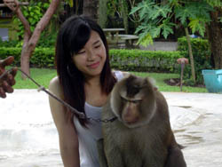 Touching and Playing with the Monkey encloser at Monkey Centre in Chiang Mai, Mae Rim area