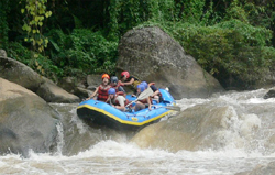 Join our professional team for a superb whitewater rafting adventure o­n the Mae Tang river 