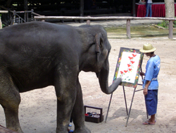 Elephants artist show at Mae Sa Elephant Camp 