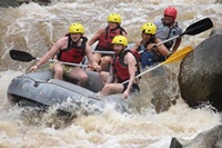 Elephant Experience and Whitewater Rafting (No Riding)