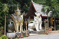 Chiang Mai Doi Suthep & Wat Palad Temple (The Hidden Temple)