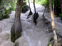 Karen Longneck & Orchid Farm (Free Stop at Tiger Kingdom) & Buatong Waterfall