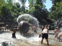 Elephant Sanctuary and Doi Innthanon National Park