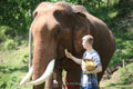 Patara Elephant Farm, Chiang Mai - Elephant Caregiver for a day - Afternoon Session