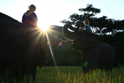 Patara Elephant Farm, Chiang Mai.. Join us for a unique