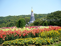 Visit Two beautiful pagodas Phra Mahathat Nophamethanidol and Phra Mahathat Nophol Bhumisiri 
