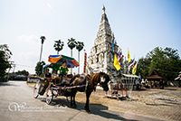 The Horse carriages that can take you around the ancient city.