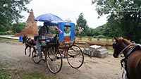Horse and carriage to view historical temple remains.