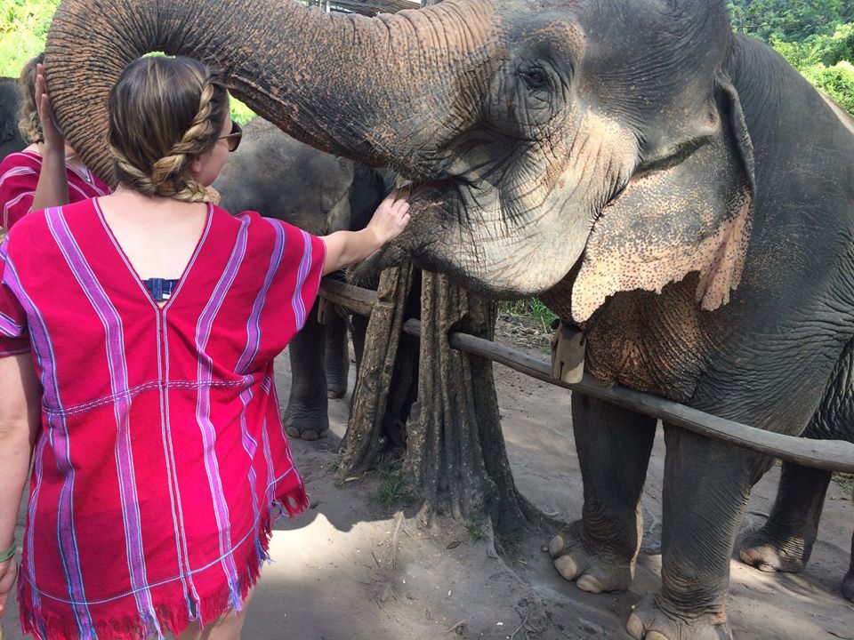 One Day Elephant Sanctuary and Doi Innthanon National Park 