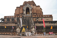 Visit Wat Chedi Luang