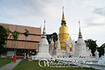 Wat Suan Dok, Temple