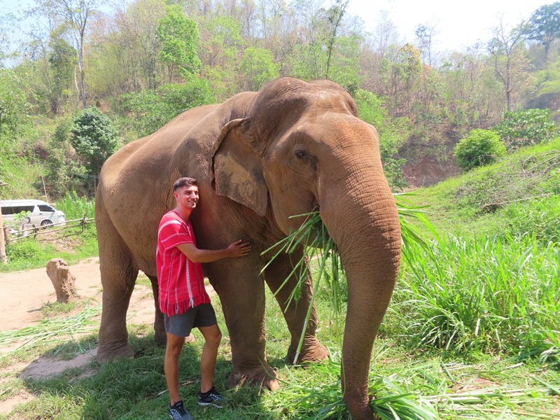 We don’t allow riding our elephants but we would like to offer you the chance to take care of them with us.