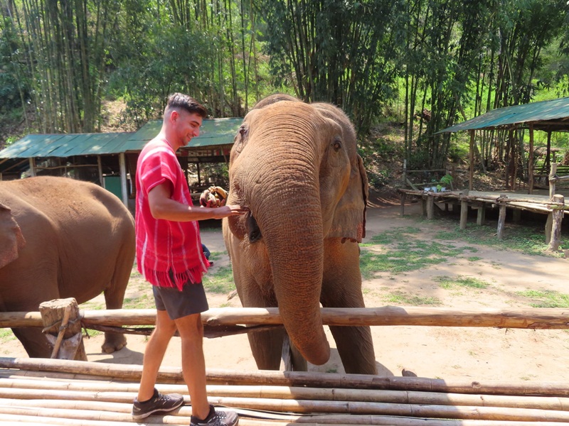 We don’t allow riding our elephants but we would like to offer you the chance to take care of them with us.