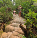 Visit Buatong Sticky Waterfall and Sticky in nature due to the Limestone deposit on the ricks you can climb up, relax and swim here. (The limestone waterfall)