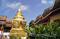 Take a rickshaw ride to visit Tha Phae Gate and visit Wat Pra Singh.
