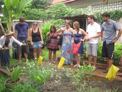 Visiting and testing some herb in an organic kitchen garden