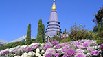wo beautiful pagodas Phra Mahathat Nophamethanidol and Phra Mahathat Nophol Bhumisiri, pagodas 