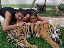 Visit Tiger Kingdom
