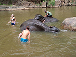 Bath elephant