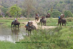 @ Thai Elephant Conservation in Lampang