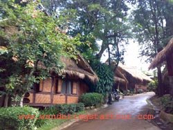 Home Stay at Thai Elephant Conservation in Lampang 