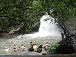 Visit and enjoy swimming at the waterfall