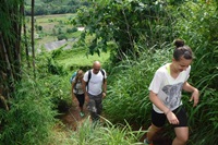3 days Trekking only walk at Doi Innthanon National Park Area