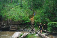One day Trekking only walk at Doi Innthanon National Park and Bamboo Rafting 