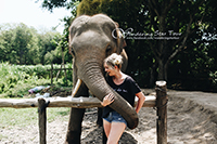 Elephant Interaction, feeding by hand and being with them closely